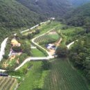 월악산 꽃피는 산골 이미지