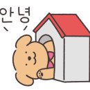 남도해적단 이미지