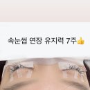 바네스 에스테틱&속눈썹