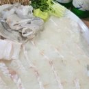 오정막회