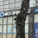 제주도 1박 2일 - 맛집이란 곳을 가서 크게 기억에 안 남은 후기