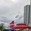 설아아이스크림 이미지