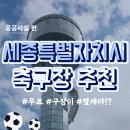 조치원체육공원(축구장) 이미지