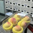 해맑은내과의원 네이버블로그