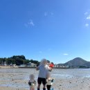 다대어촌체험마을 | 거제 다대어촌체험마을 갯벌체험 12월 물때시간표 옷차림