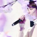 엔서 이미지