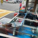 앗싸 해물칼국수 물회 | [태안 몽산포항 맛집] 단체 가능! 해물칼국수+물회 푸짐하게 먹은 후기