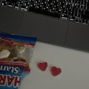 파츄코파라다이스 이미지