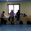 카페독스 이미지