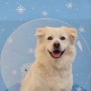 하울팟 위례점 이미지