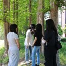 배내미로 이미지