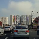 동일장 이미지