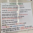 리프패럿 강변｜앵무새 카페 입장료, 후기, 아쉬웠던 점