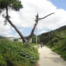 영창초등학교 이미지