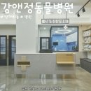 남서울동물병원 네이버블로그