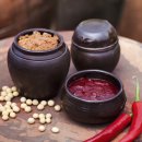 옹담협동조합 이미지