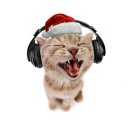 (유) 정인 | 그땐 외로움이 우리가 가진 전부인 줄 알았는데