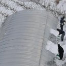 기술센터. 스마트팜 테스트베드 고도화사업. CES탄소섬유스마트팜난방시스템 적용. 탄소섬유비닐하우스난방