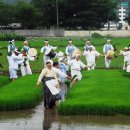 고성농요 정기공연 이미지