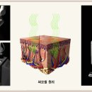 다나 에스테틱 - 서대문구 | 다나 에스테틱