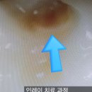 서울엘치과의원 이미지