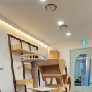 캣치유고양이미용호텔 이미지