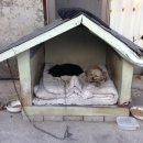 풍기카센타 이미지