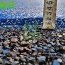 천안서당초등학교 이미지