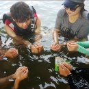 밀양표충오토캠핑장 이미지