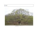 내곡3리 이미지