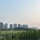 빤닭빤닭 - 중구 | 빤닭빤닭