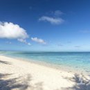 파라다이스 이미지