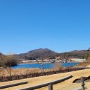 몽이랑 | 의왕 백운호수공원 반려견놀이터 후기｜몽이와 데크 산책 코스 완주