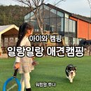 평거강변1 - A (좌측) | 아이와 캠핑, 일랑일랑 애견캠핑