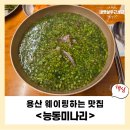 용산-현장-58 | [용산 맛집] 능동미나리 웨이팅 이유? 한입 먹고 이해되는 미나리향의 폭발