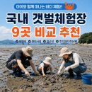 움직이는 관광안내소 | [정보/여행] 아이와 갯벌체험 가볼만한곳 총정리 ㅣ 서울근교·인천·대부도·태안·서천 갯벌체험장 비교
