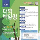 대덕김밥