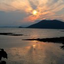 순천만습지 이미지