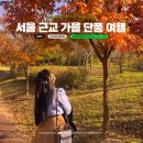 지내고탄로 | 요즘 난리난 서울 근교 단풍 명소 춘천 가을 여행
