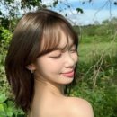 균형디자인