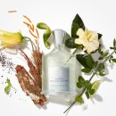 미들아일랜드(middle island) 이미지