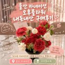 꽃집입니다 | 울산카네이션 신정동꽃집 오후플라워 내돈내산 후기
