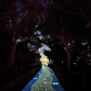 땅끝편백펜션민박 | 전남 해남 땅끝마을 민박집 추천 땅끝편백펜션민박, 땅끝모노레일 땅끝탑가는길 야경