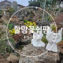 할망꽃쉼팡 민박 | 제주펜션 구좌펜션 할망꽃쉼팡 후기