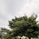 남쪽마을 이미지