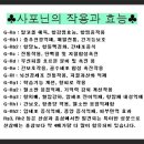 엄나무의 효능/개두릅의 효능/두릅의 효능/땅두릅의 효능/참두릅.개두릅(엄나무순).땅두릅의 차이 이미지