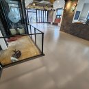 그루밍펫 이미지