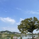 울성낚시터 | 평택 가볼만한곳 추천 울성낚시터 당일바베큐가능