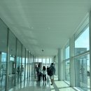 952 | 인천 두바이 대한항공 KE951 KE952 기내식 후기 신혼여행 경유의 메카