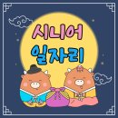 2024년 11월 5주 시니어 일자리 최신 정보